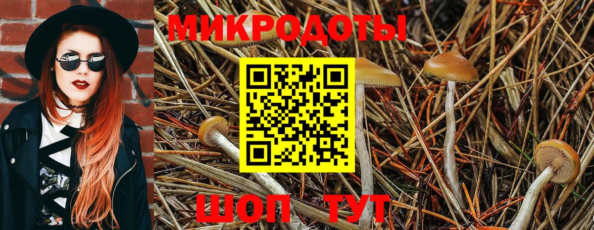 ГАШИШ  Вход с VPN  Гашиш  Курчатов  Меф   МЕТАМФЕТАМИН 