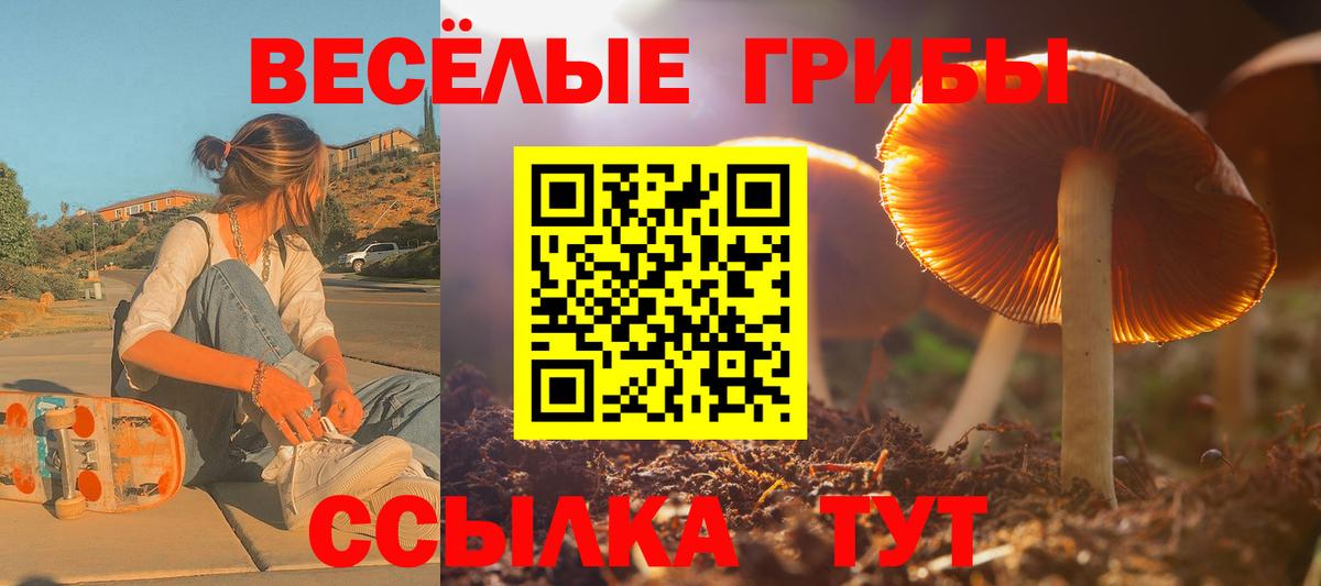 Курчатов  Псилоцибиновые грибы Cubensis  где купить наркоту  Вход с VPN  Псилоцибиновые грибы прущие грибы 