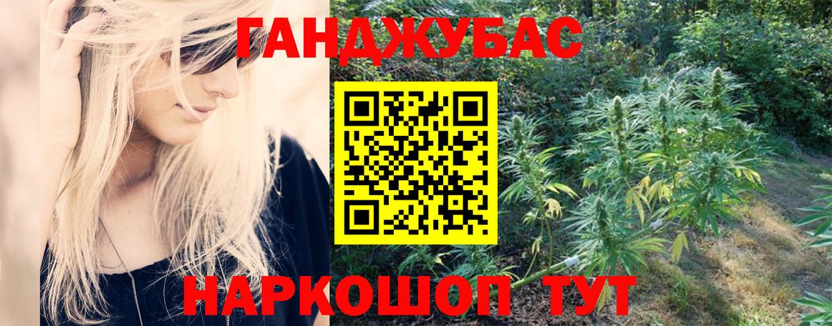 Курчатов  Марихуана гибрид  Конопля семена  Вход с VPN  Бошки марихуана Amnesia 